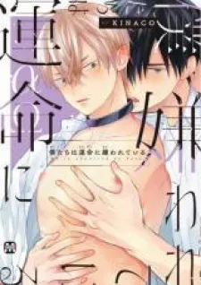 Bokutachi Wa Unmei Ni Kirawareteiru