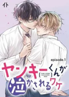 What Made Yankee-Kun Cry